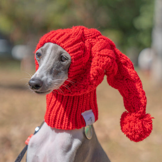 🐾 For the Most Stylish Sighthounds: "Woolly Whippet's Crown" 🐾