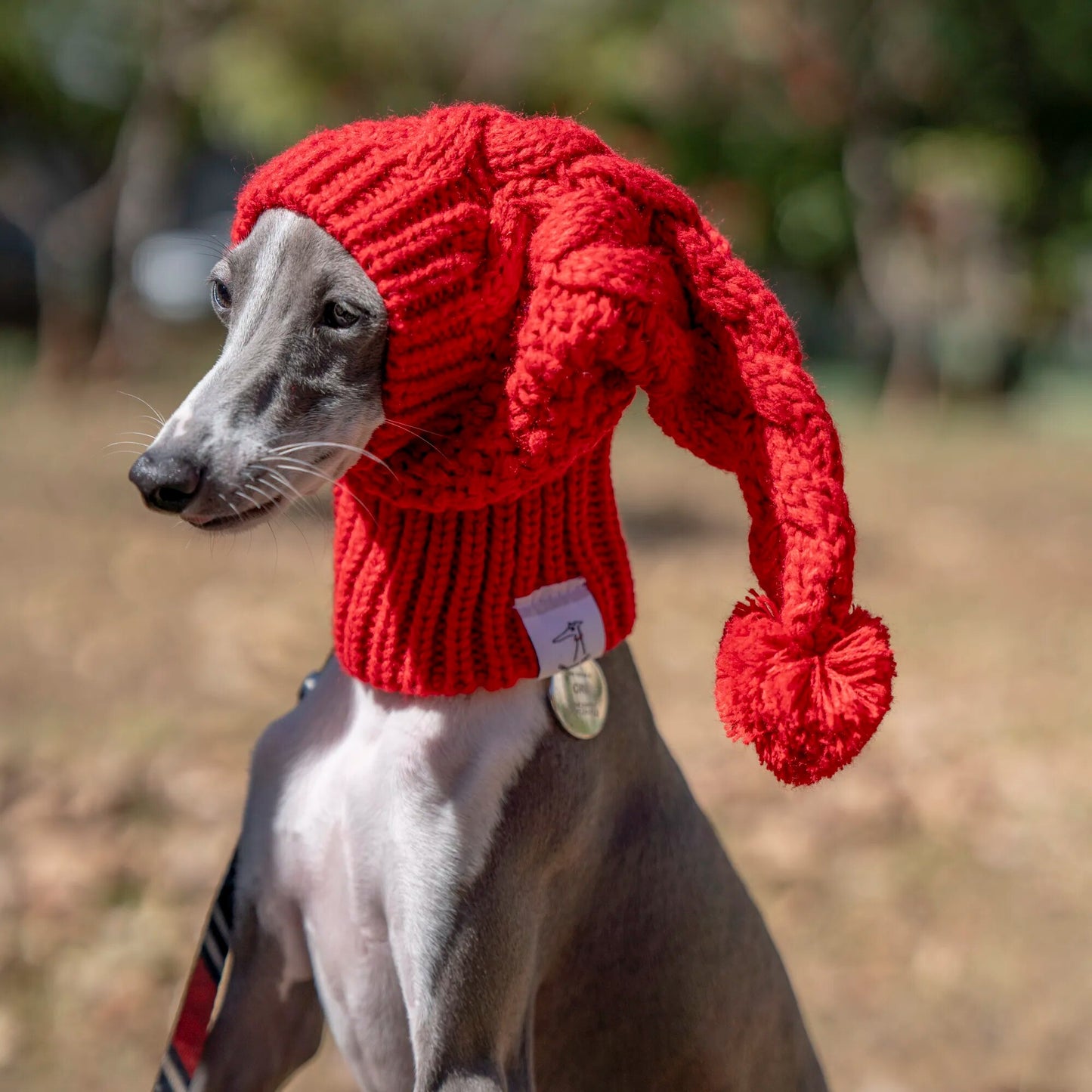 🐾 For the Most Stylish Sighthounds: "Woolly Whippet's Crown" 🐾