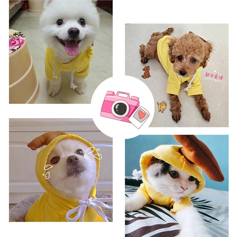 Assorted Tiny Pet Costumes