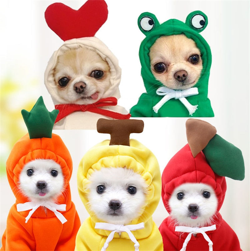 Assorted Tiny Pet Costumes