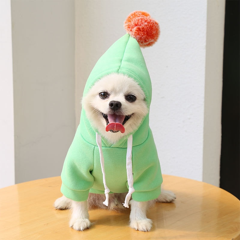 Assorted Tiny Pet Costumes