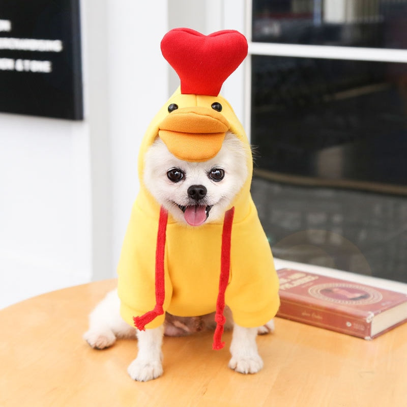 Assorted Tiny Pet Costumes