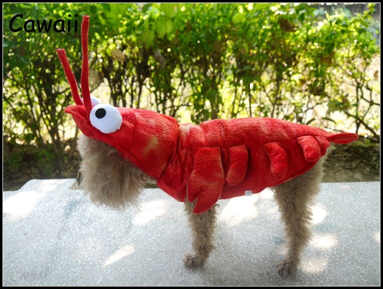 Lucky Lobster Costume