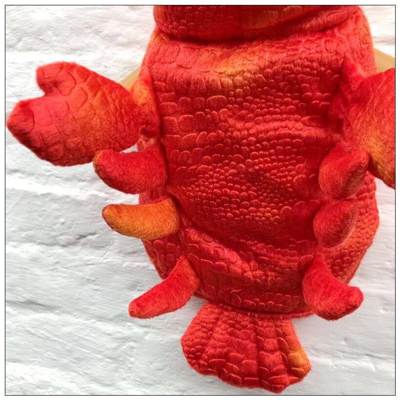 Lucky Lobster Costume