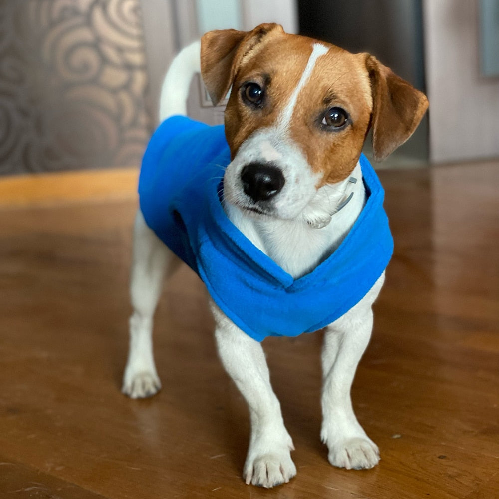 Winter Fleece Jacket For Small Dogs