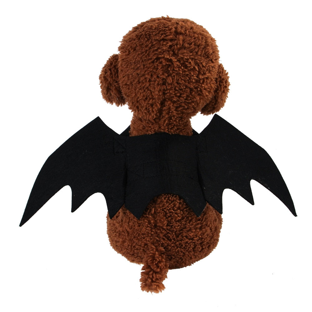 Bat Wings