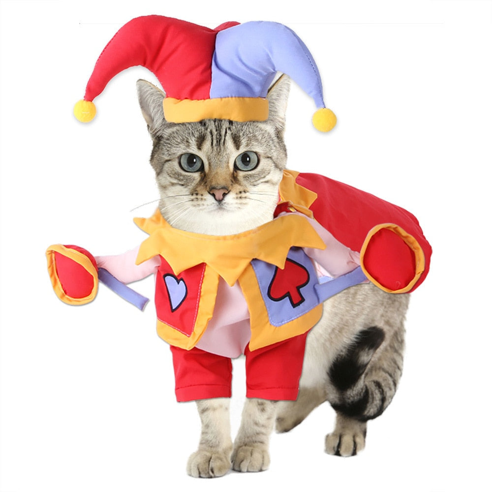 Assorted Premium Pet Costumes