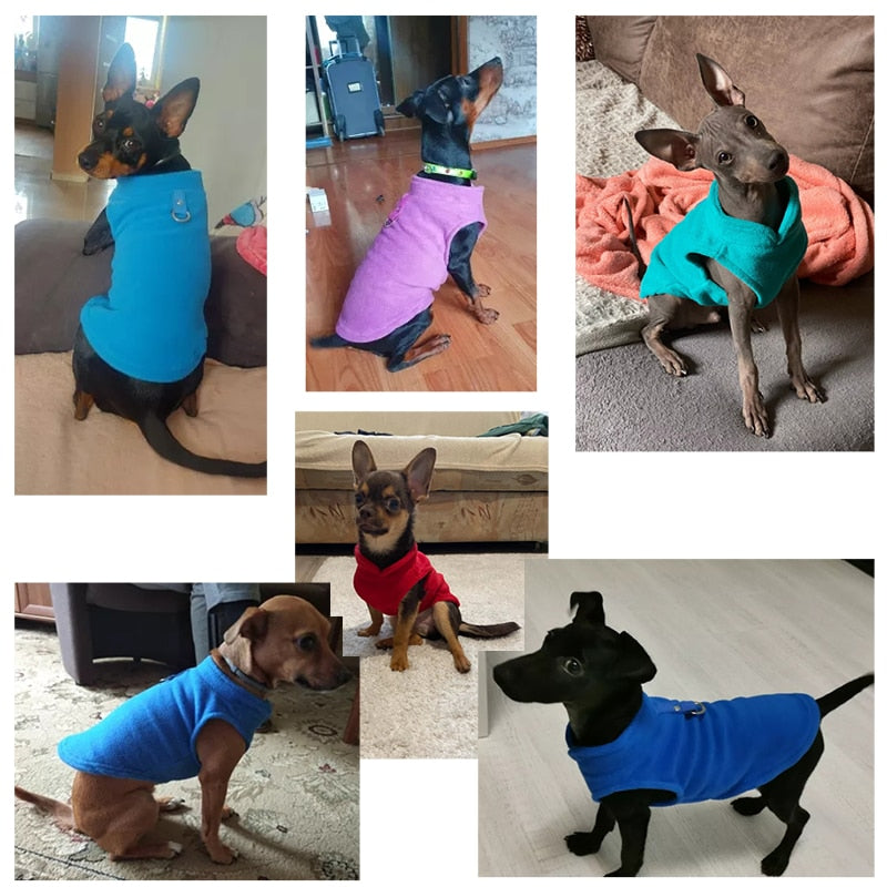 Winter Fleece Jacket For Small Dogs